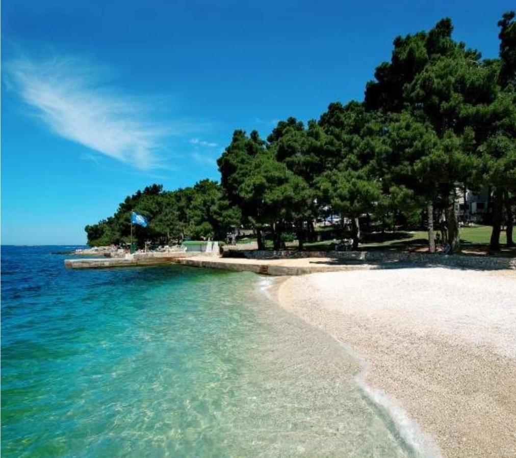 New!!! New Riva Luxury One - With Sunny Terrace & Big Garden Lejlighed Poreč Eksteriør billede
